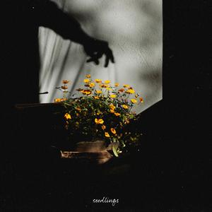 男生Gay自慰脱裤子㊙️
