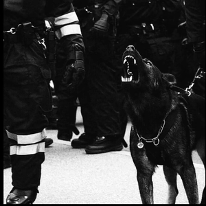 男生Gay自慰脱裤子㊙️
